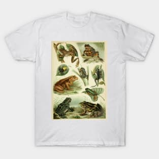 Frogs And Toads T-Shirt